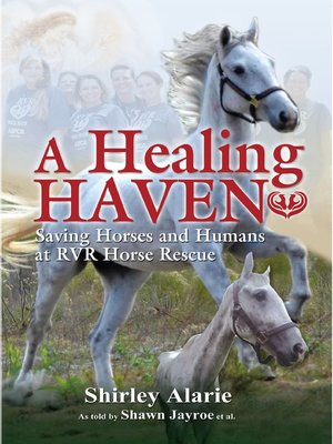 cover image of A Healing Haven